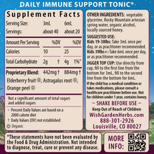 Load image into Gallery viewer, Elderberry Syrup, Everyday Immunity for Kids
