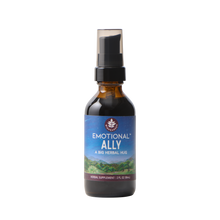 Load image into Gallery viewer, Emotional Ally: A Big Herbal Hug
