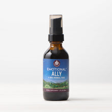 Load image into Gallery viewer, Emotional Ally, A Big Herbal Hug
