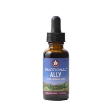 Load image into Gallery viewer, Emotional Ally: A Big Herbal Hug
