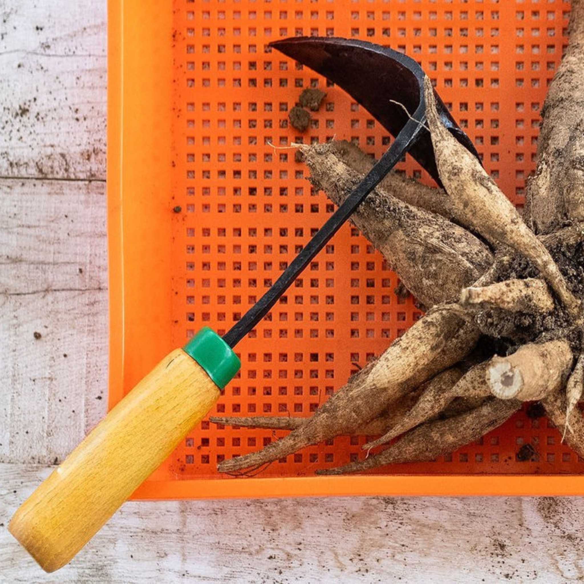 Easy Digger Garden Tool