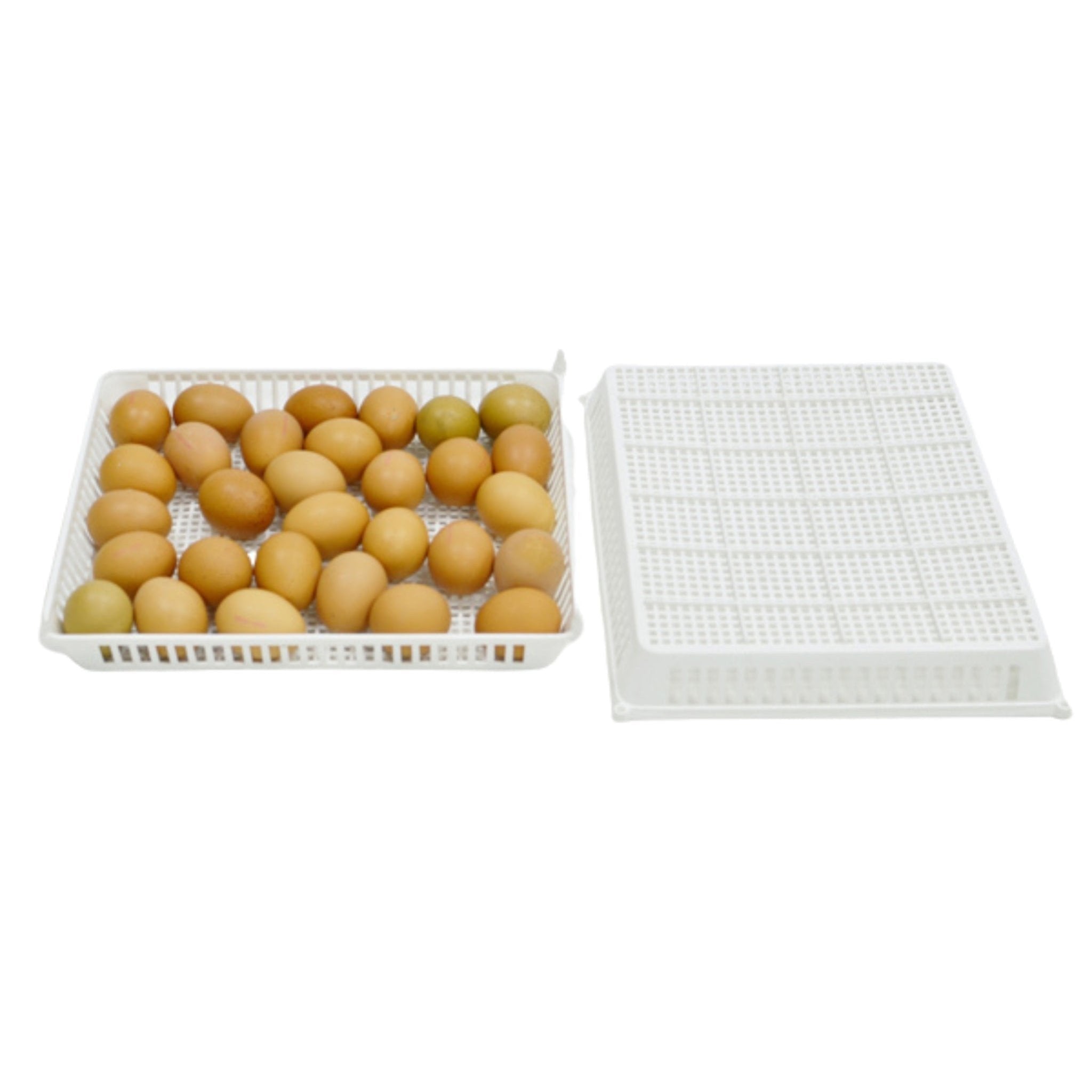 Conturn Conturn 60 Set - Automatic Egg Turners and Hatch Baskets – Countryside