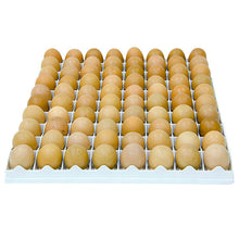Load image into Gallery viewer, Egg Setter Tray - Chicken - 80 Eggs
