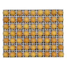 Load image into Gallery viewer, Egg Setter Tray - Chicken - 80 Eggs
