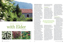 Load image into Gallery viewer, Mother Earth Living — Grow, Cook, &amp; Heal with Herbs
