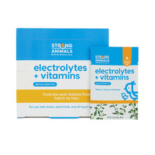 Load image into Gallery viewer, Electrolyte + Vitamin Pack
