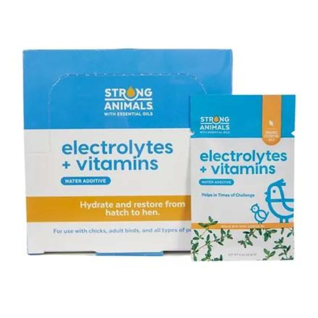 Electrolyte + Vitamin Pack
