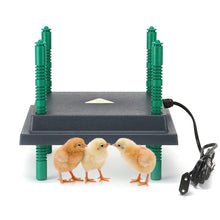 Load image into Gallery viewer, Farmight Chick Brooder Heater Plate, Adjustable Height, 3 Size Options
