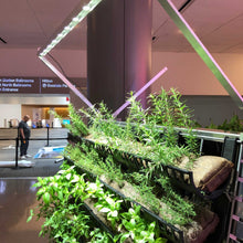 Load image into Gallery viewer, Filled Ellepot Pouches for Vertical Gardens
