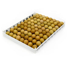 Load image into Gallery viewer, Egg Setter Tray (Flexy80ST)
