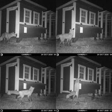 Load image into Gallery viewer, XL Chicken Coop - Up to 20 Chickens
