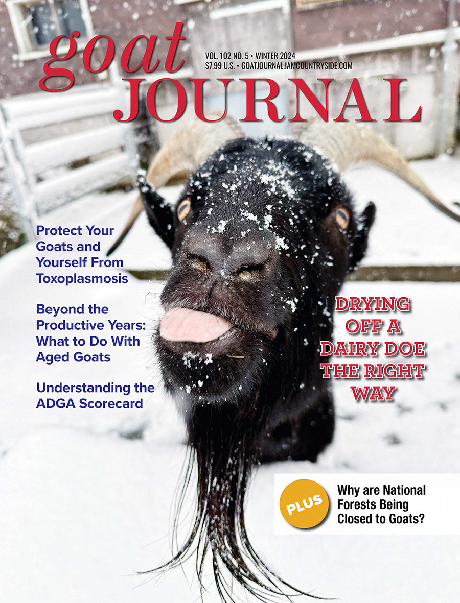 GOAT JOURNAL MAGAZINE, WINTER 2024