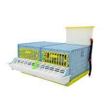 Load image into Gallery viewer, Grow Out Pen - 2 Section H:9.5&quot;
