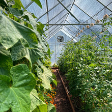 Load image into Gallery viewer, Greenhouse Shutter Mount Exhaust Fans
