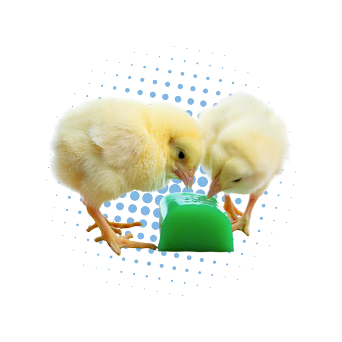GroGel Chick Hydration – Countryside
