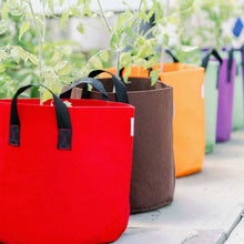 Load image into Gallery viewer, Grow Bags - 7 Gallon Colored Fabric Pots
