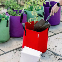 Load image into Gallery viewer, Grow Bags - 7 Gallon Colored Fabric Pots

