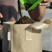 Load image into Gallery viewer, 2 Gal Grow Bag - Tan
