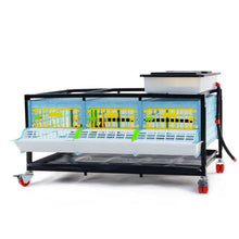 Load image into Gallery viewer, Grow Out Pen - 1 Layer H:9.5&quot;
