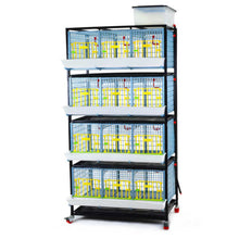 Load image into Gallery viewer, Grow Out Pen - 4 Layer H:15"
