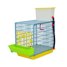 Load image into Gallery viewer, Grow Out Pen - 1 Section H:15&quot;
