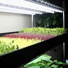 Load image into Gallery viewer, Grow Rack - Automated Vertical Propagation Rack
