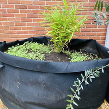 Load image into Gallery viewer, Grow Bags - 200 Gallon
