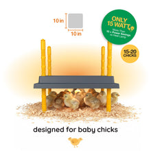 Load image into Gallery viewer, Warmzy Heating Plate (10" x 10") 15-20 chicks
