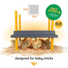Load image into Gallery viewer, Warmzy Heating Plate (14" x 14") 25-30 chicks
