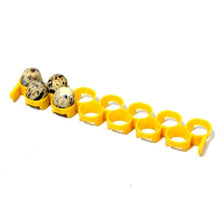 Load image into Gallery viewer, Quail Egg Rack - Attaches to Conturn Egg Setter
