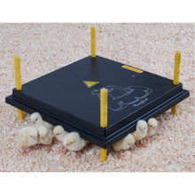 Load image into Gallery viewer, Heating Plate for Chicks (16&quot; x 16&quot;) for 30-35 chicks
