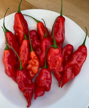 Load image into Gallery viewer, Hot Paper Lantern Pepper
