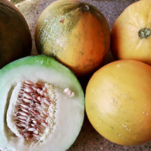Load image into Gallery viewer, Collective Farm Woman Cantaloupe

