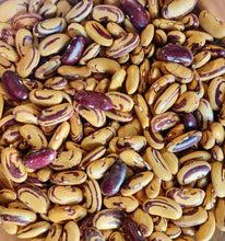Load image into Gallery viewer, Tiger's Eye Bean
