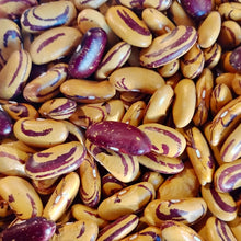 Load image into Gallery viewer, Tiger's Eye Bean
