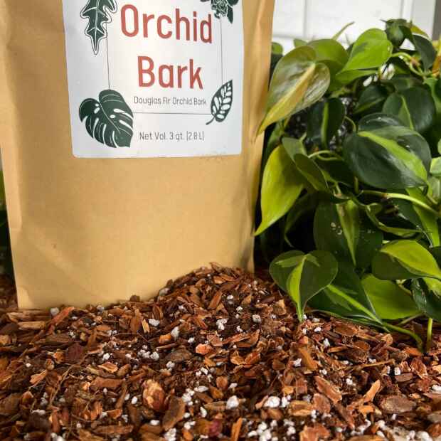 Orchid Bark