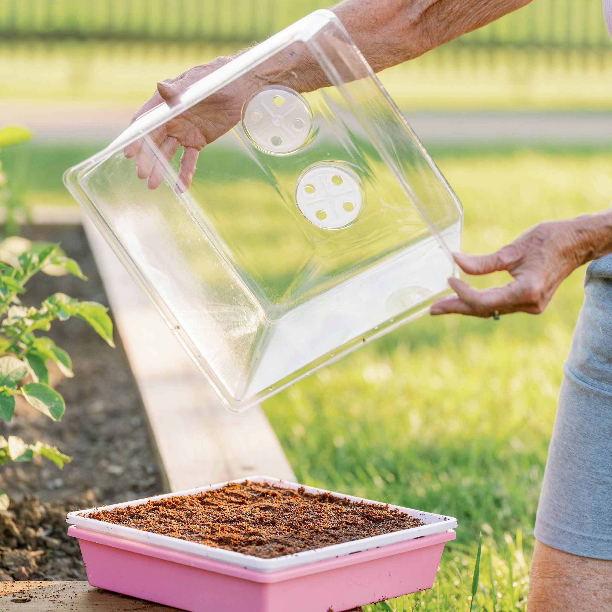 plastic dome for plants 1010 Humidity Dome Tray Lids 20 Domes / Clear