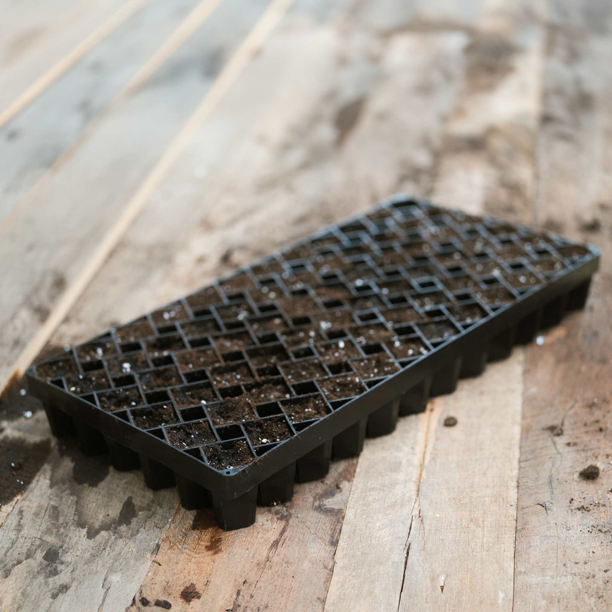 Air Prune Heavy Duty Propagation Tray - 72 Cell – Countryside
