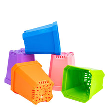 Load image into Gallery viewer, 5&quot; Nursery Pots with Insert Tray
