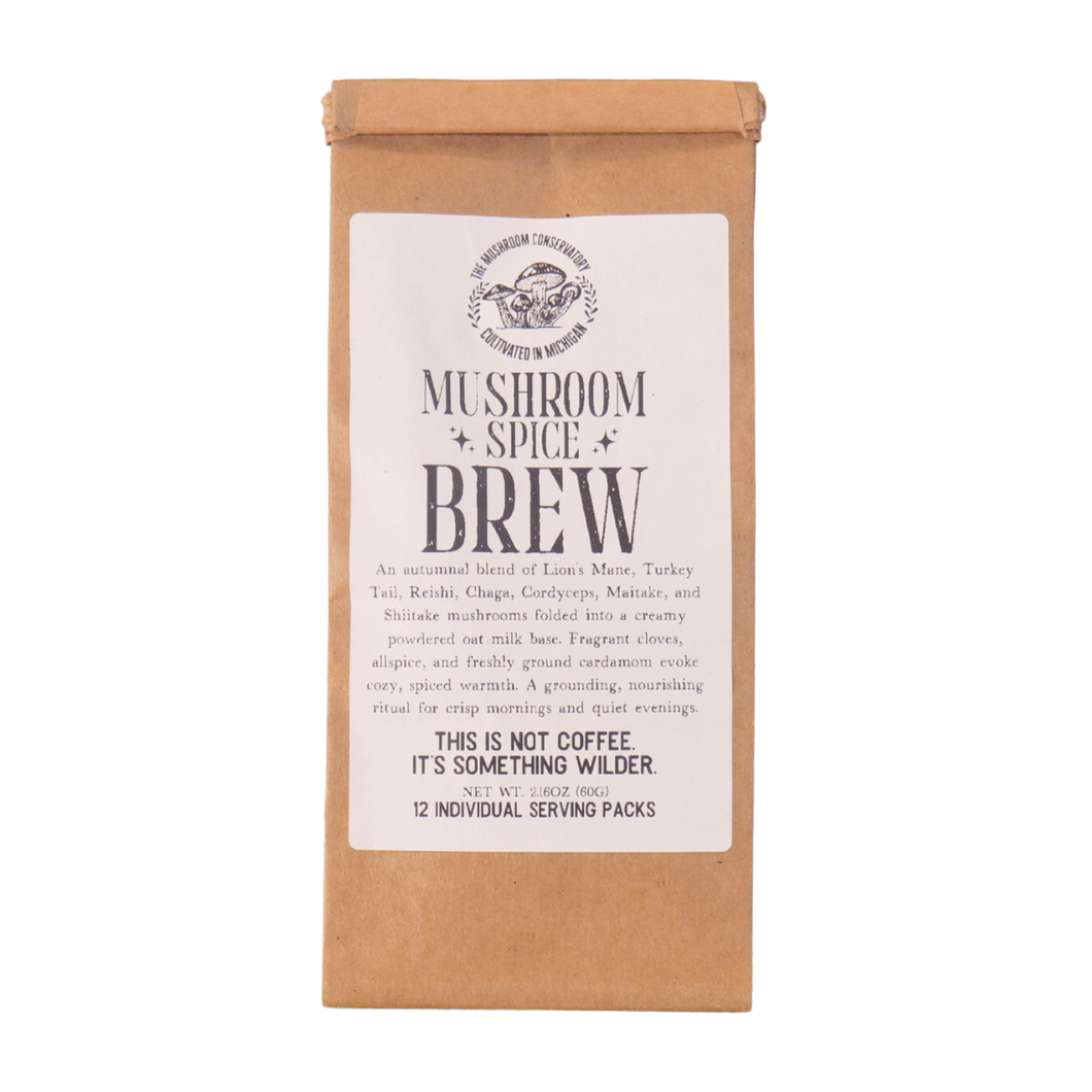 Mushroom Spice Brew - 12 Pack