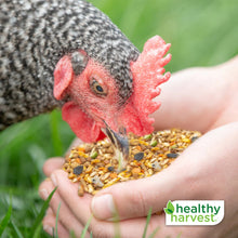 Load image into Gallery viewer, Healthy Harvest Non-GMO Whole &amp; Hearty - 30 lb
