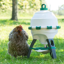 Load image into Gallery viewer, Optimus Poultry Drinker - 6 Gallon
