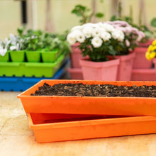 Load image into Gallery viewer, 1020 Seed Starting Trays - Colored
