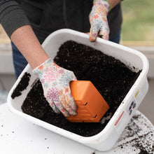 Load image into Gallery viewer, 5x5 Grow Trays - Extra Strength Inserts
