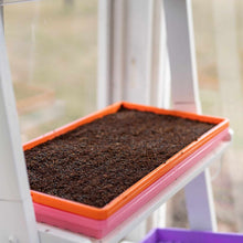 Load image into Gallery viewer, 1020 Microgreen Trays - Shallow Extra Strength Colors
