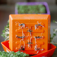 Load image into Gallery viewer, 5X5 Shallow Microgreen Trays
