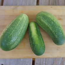 Load image into Gallery viewer, Marketmore Cucumber
