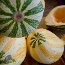 Load image into Gallery viewer, Hopi Origin Cushaw Winter Squash
