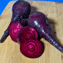Load image into Gallery viewer, German Lutz Beets (Winterkeeper Beets)
