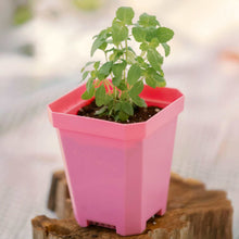 Load image into Gallery viewer, 5&quot; Heavy Duty Nursery Pots
